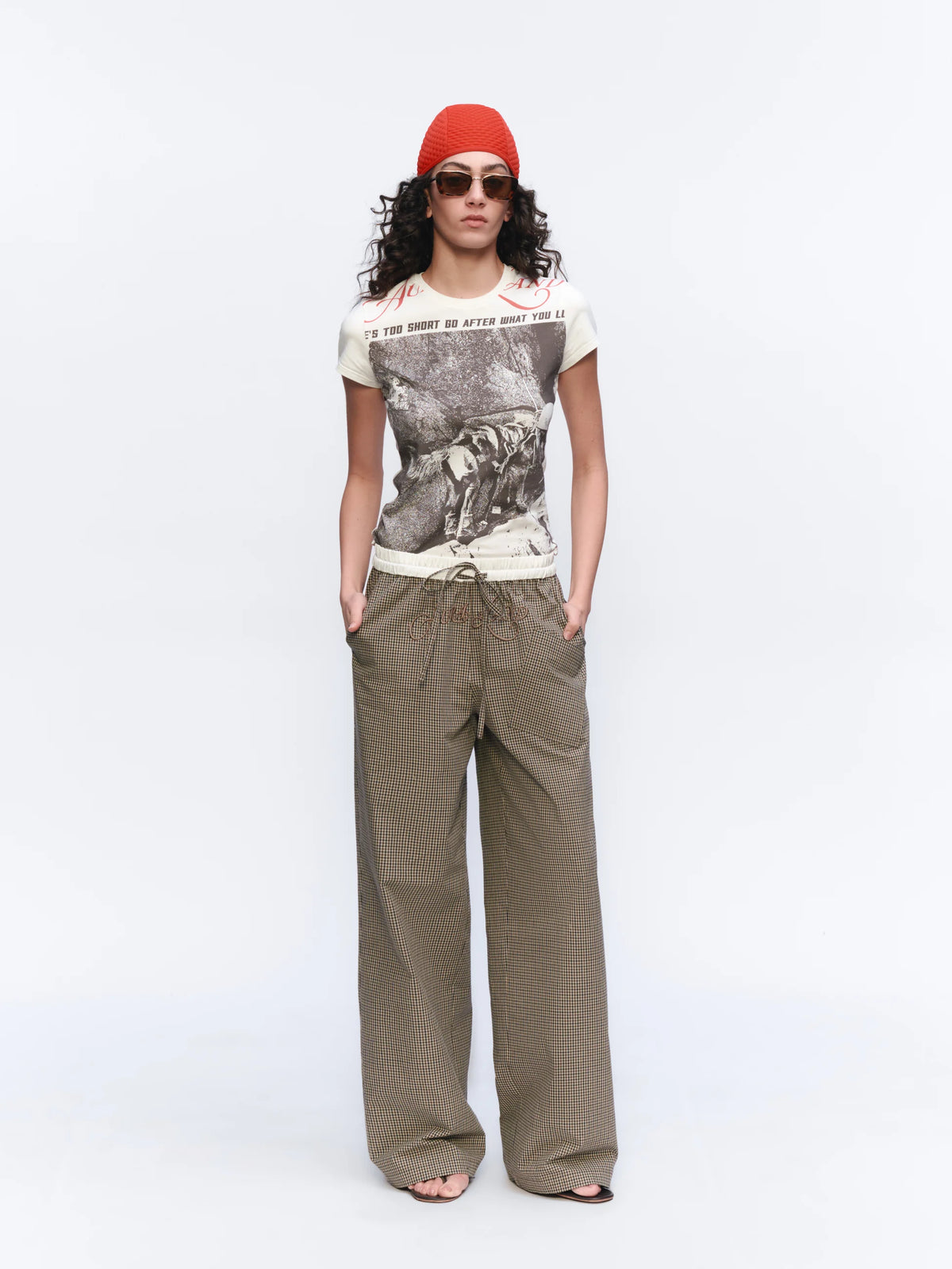 Embroidered Checked Wide-Leg Trousers - model photograph 3